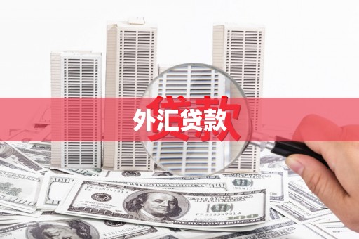 稷山外汇贷款