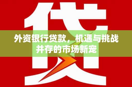稷山外资银行贷款，机遇与挑战并存的市场新宠