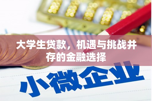 稷山大学生贷款，机遇与挑战并存的金融选择