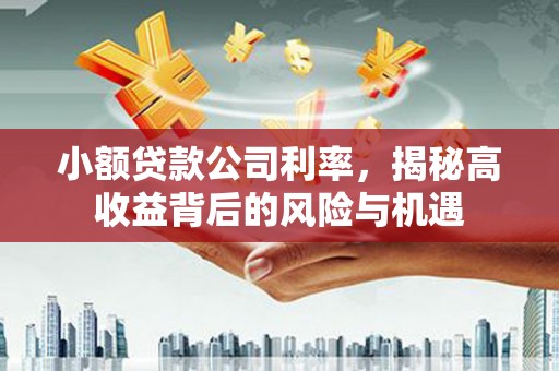 稷山小额贷款公司利率，揭秘高收益背后的风险与机遇