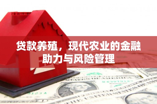 稷山贷款养殖，现代农业的金融助力与风险管理
