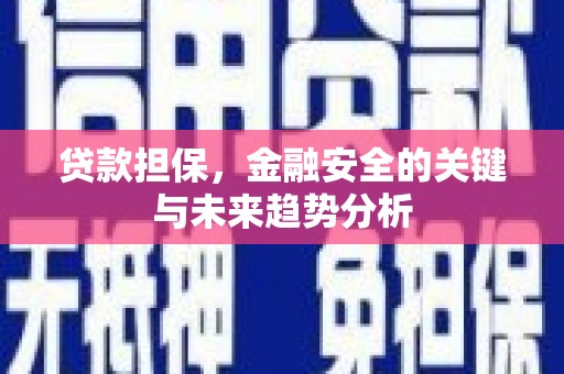 稷山贷款担保，金融安全的关键与未来趋势分析
