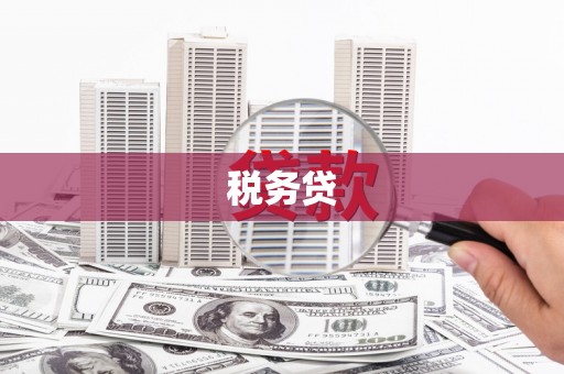 稷山税务贷
