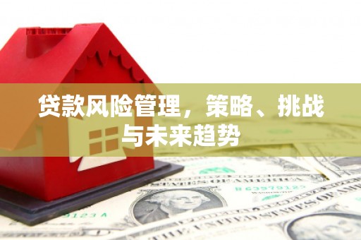 稷山贷款风险管理，策略、挑战与未来趋势