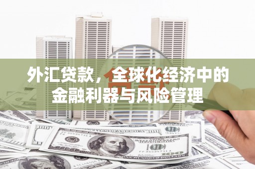 稷山外汇贷款，全球化经济中的金融利器与风险管理
