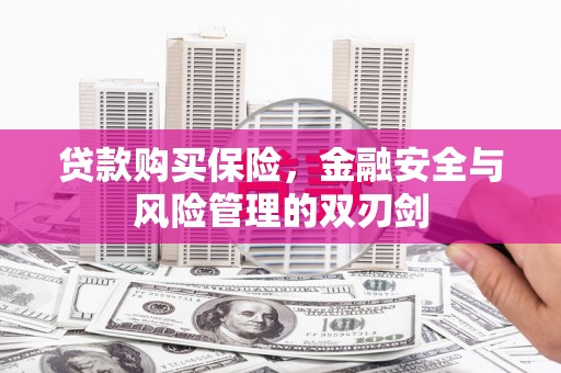 稷山贷款购买保险，金融安全与风险管理的双刃剑