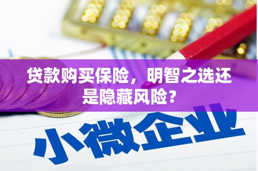 稷山贷款购买保险，明智之选还是隐藏风险？