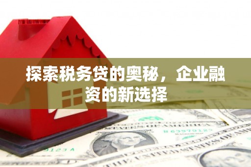 稷山探索税务贷的奥秘，企业融资的新选择
