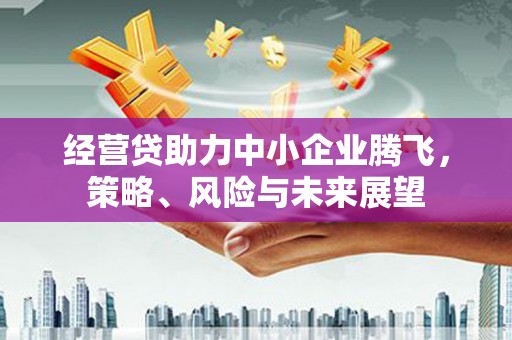 稷山经营贷助力中小企业腾飞，策略、风险与未来展望