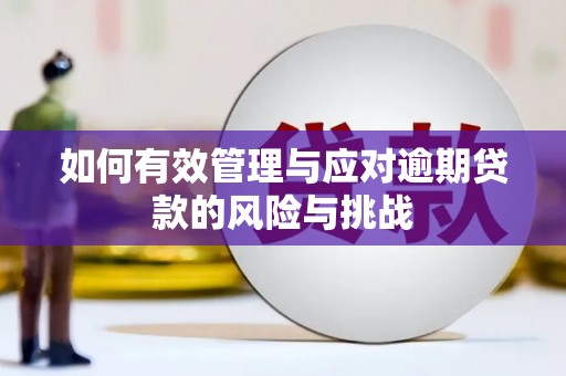 稷山如何有效管理与应对逾期贷款的风险与挑战