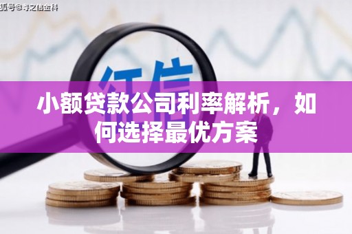 稷山小额贷款公司利率解析，如何选择最优方案