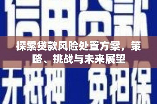 稷山探索贷款风险处置方案，策略、挑战与未来展望