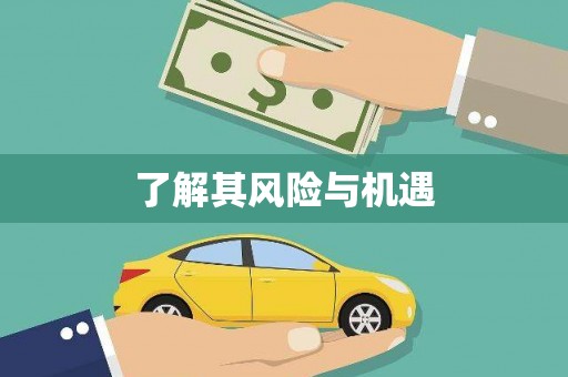稷山了解其风险与机遇