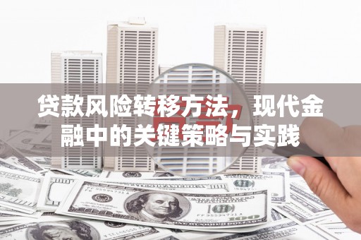 稷山贷款风险转移方法，现代金融中的关键策略与实践
