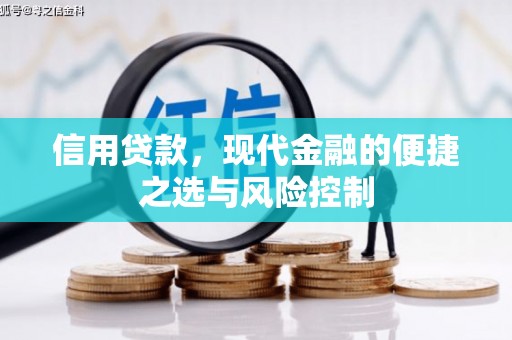 稷山信用贷款，现代金融的便捷之选与风险控制