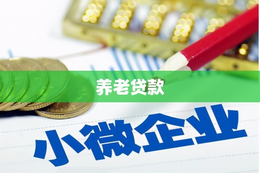 稷山养老贷款