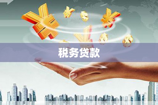 稷山税务贷款