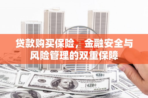 稷山贷款购买保险，金融安全与风险管理的双重保障