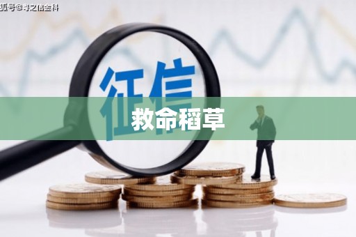 稷山救命稻草