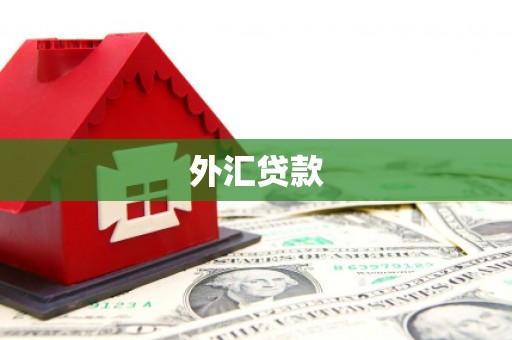 稷山外汇贷款