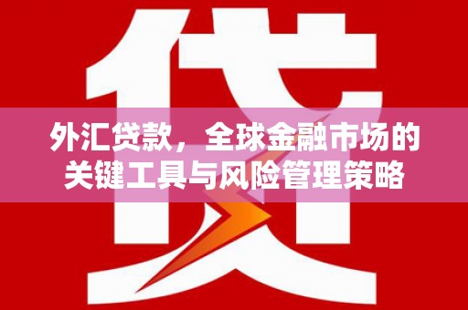 稷山外汇贷款，全球金融市场的关键工具与风险管理策略