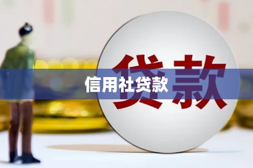 稷山信用社贷款