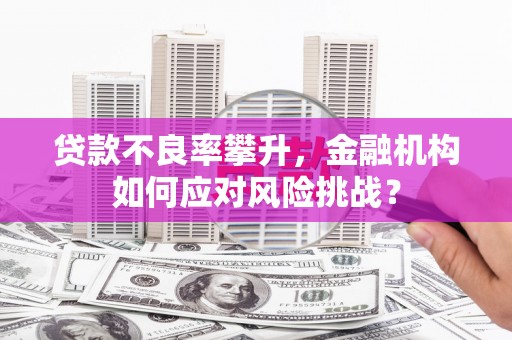 稷山贷款不良率攀升，金融机构如何应对风险挑战？