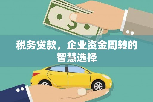 稷山税务贷款，企业资金周转的智慧选择