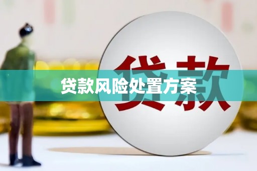 稷山贷款风险处置方案