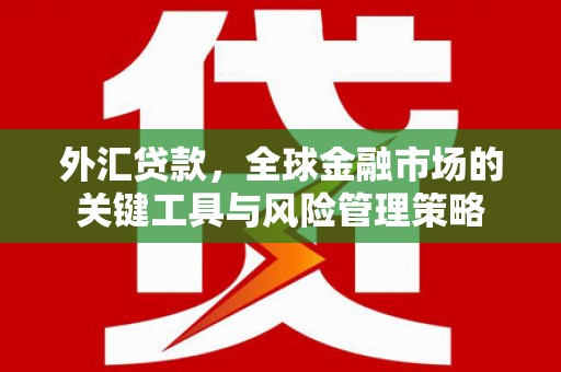 稷山外汇贷款，全球金融市场的关键工具与风险管理策略