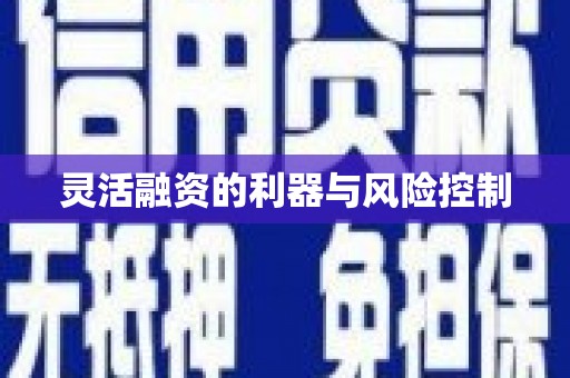 稷山灵活融资的利器与风险控制
