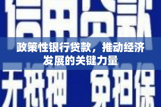 稷山政策性银行贷款，推动经济发展的关键力量