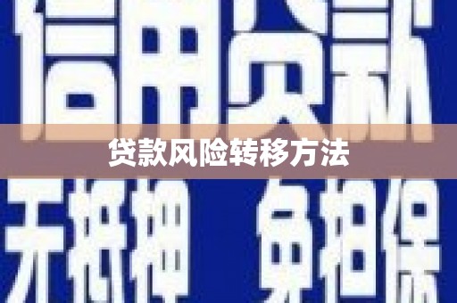 稷山贷款风险转移方法