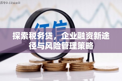 稷山探索税务贷，企业融资新途径与风险管理策略