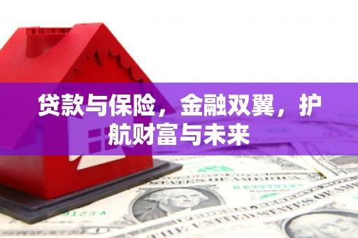 稷山贷款与保险，金融双翼，护航财富与未来