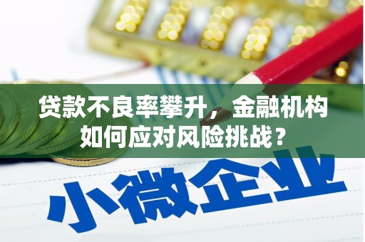 稷山贷款不良率攀升，金融机构如何应对风险挑战？