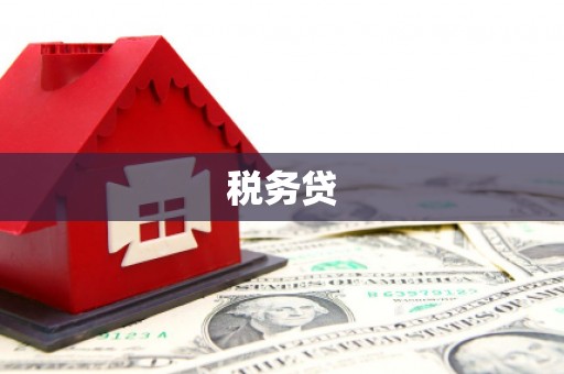 稷山税务贷