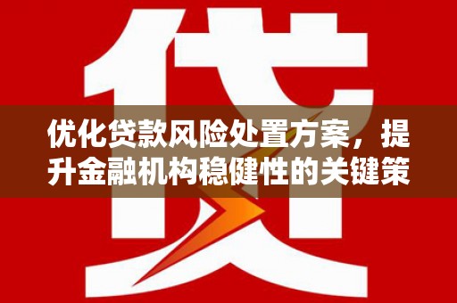 稷山优化贷款风险处置方案，提升金融机构稳健性的关键策略
