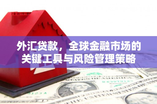 稷山外汇贷款，全球金融市场的关键工具与风险管理策略