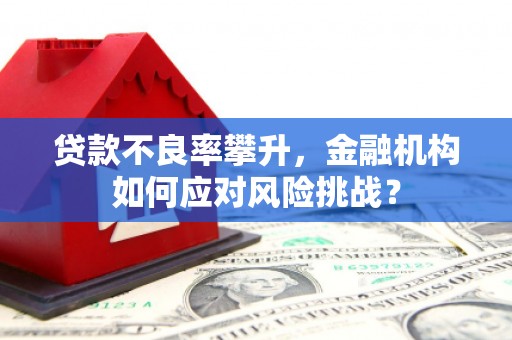 稷山贷款不良率攀升，金融机构如何应对风险挑战？
