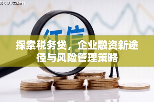 稷山探索税务贷，企业融资新途径与风险管理策略