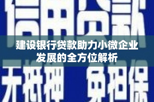 稷山建设银行贷款助力小微企业发展的全方位解析