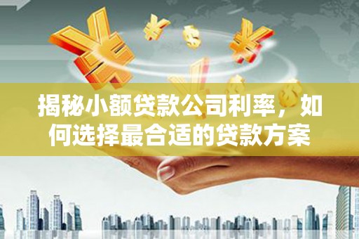 稷山揭秘小额贷款公司利率，如何选择最合适的贷款方案