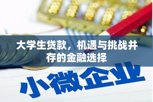 稷山大学生贷款，机遇与挑战并存的金融选择