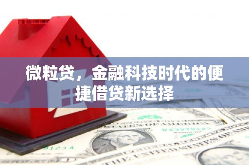 稷山微粒贷，金融科技时代的便捷借贷新选择