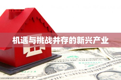 稷山机遇与挑战并存的新兴产业
