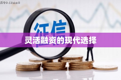 稷山灵活融资的现代选择