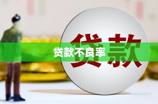 稷山贷款不良率