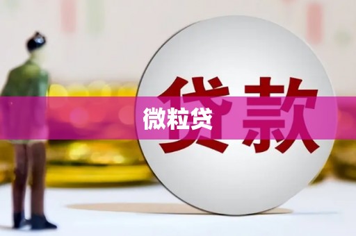稷山微粒贷