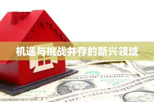稷山机遇与挑战并存的新兴领域